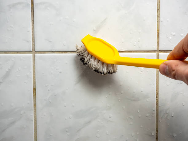 Best Residential Mold Removal  in Selden, NY